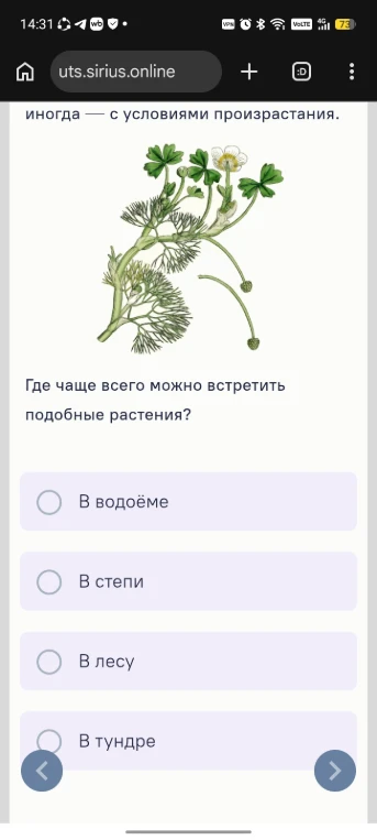 Где чаще всего можно встретить подобные растения?