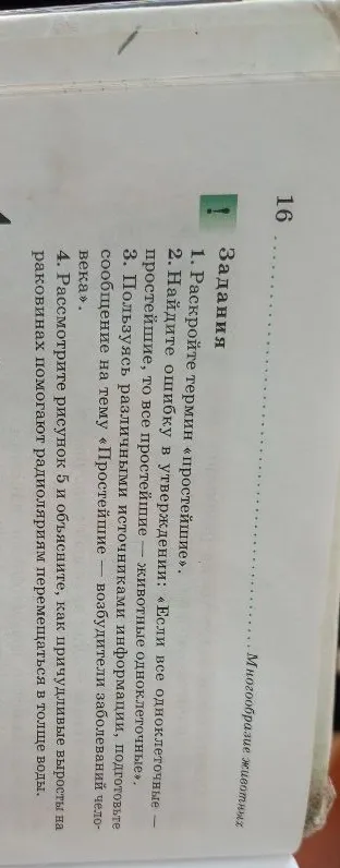 1. Раскройте термин «простейшие». 2. Найдите ошибку в утверждении: «Если все одноклеточные — простейшие, то все простейшие — животные одноклеточные». 3. Пользуясь различными источниками информации, подготовьте сообщение на тему «Простейшие — возбудители заболеваний человека». 4. Рассмотрите рисунок 5 и объясните, как причудливые выросты на раковинах помогают радиоляриям перемещаться в толще воды.
