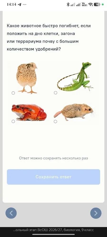 Какое животное быстро погибнет, если положить на дно клетки, загона или террариума почву с большим количеством удобрений?