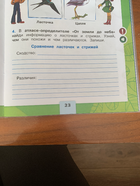 В атласе-определителе «От земли до неба» найди информацию о ласточках и стрижах. Узнай, чем они похожи и чем различаются. Запиши.
