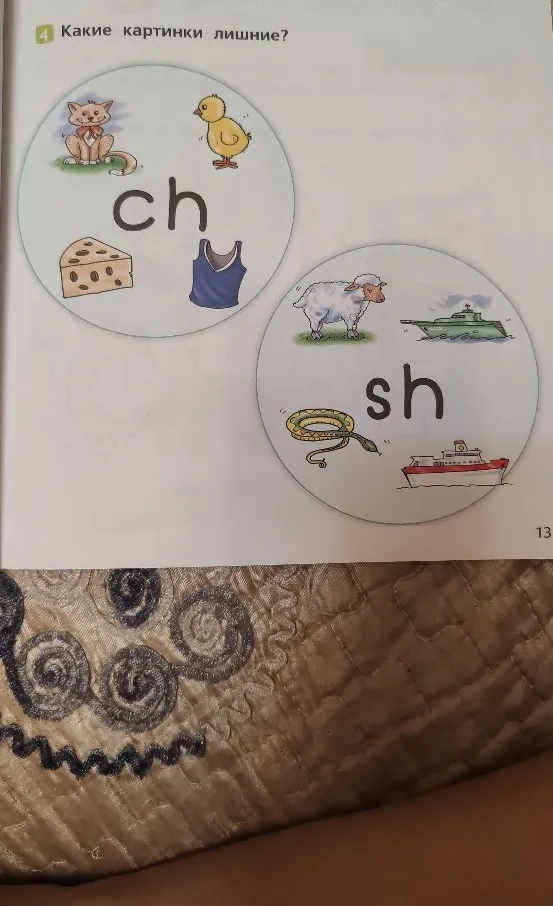 Какие картинки лишние?