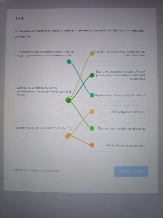 Установите соответствие между стратегиями размножения рыб и особенностями строения их икринок.