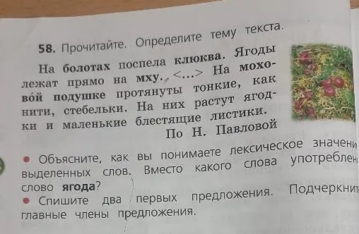 58. Прочитайте. Определите тему текста. На болотах поспела клюква. Ягоды лежат прямо на мху.