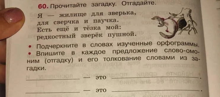 60. Прочитайте загадку. Отгадайте.