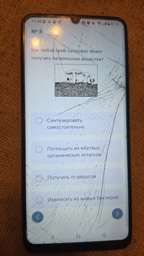 Как любой гриб-сапрофит может получать питательные вещества?