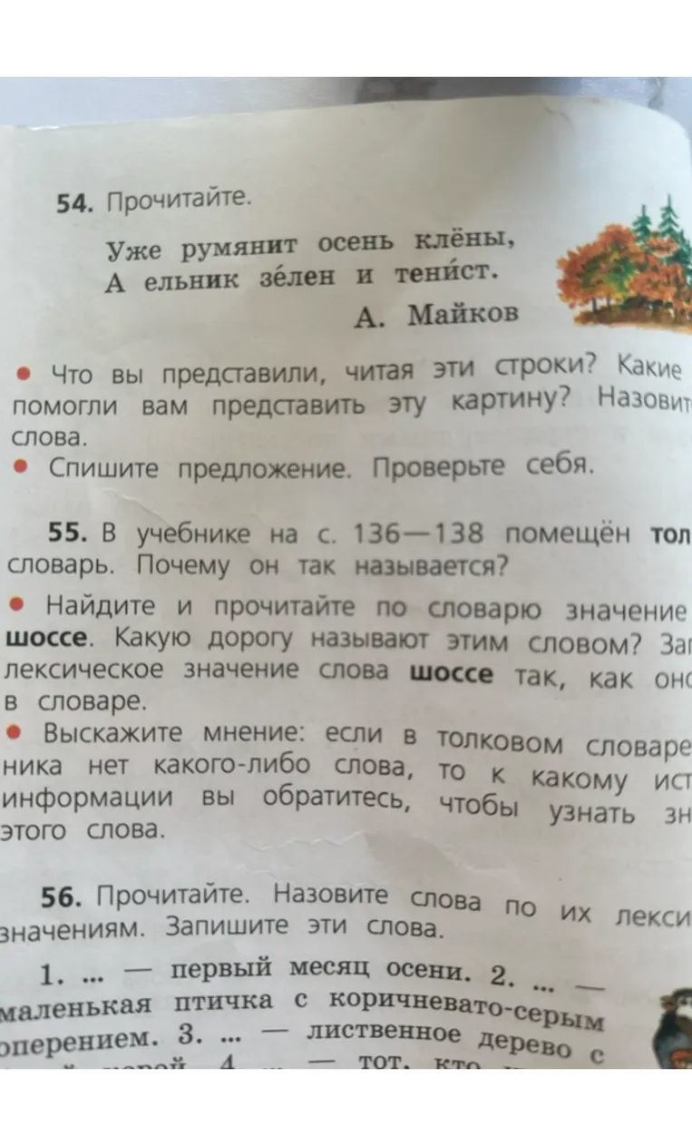 54. Прочитайте. Уже румянит осень клёны, А ельник зелен и тенист. А. Майков - Что вы представили, читая эти строки? Какие помогли вам представить эту картину? Назовите слова. - Спишите предложение. Проверьте себя.