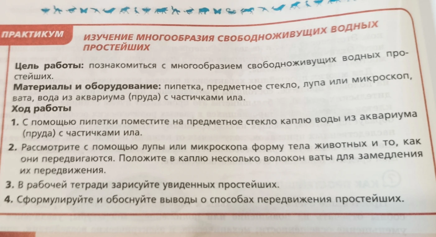 ПРАКТИКУМ ИЗУЧЕНИЕ МНОГООБРАЗИЯ СВОБОДНОЖИВУЩИХ ВОДНЫХ ПРОСТЕЙШИХ