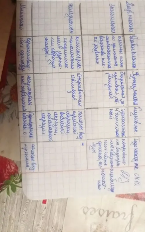 Таблица с видами тканей человека
