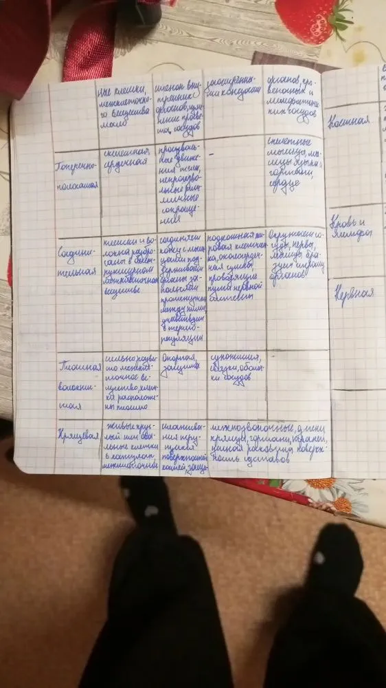 Таблица с видами тканей человека