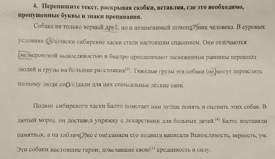 4. Перепишите текст, раскрывая скобки, вставляя, где это необходимо, пропущенные буквы и знаки препинания.
