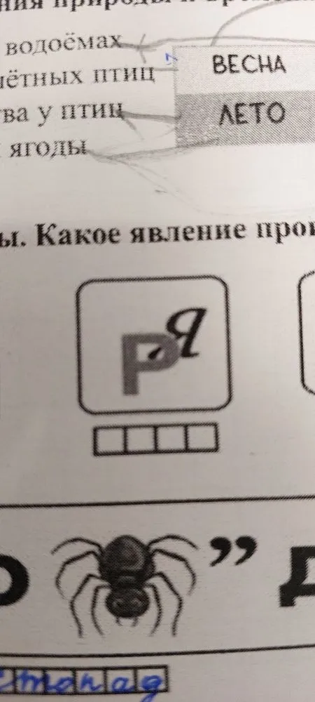 треугольник и ломаная решить ребус