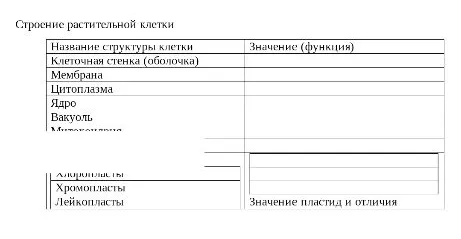 Строение растительной клетки