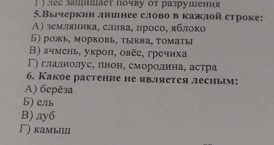 Вычеркни лишнее слово в каждой строке: А) земляника, слива, просо, яблоко