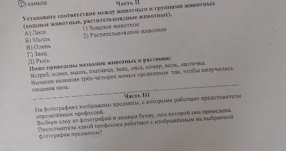 Установите соответствие между животным и группами животных (хищные животные, растительноядные животные).