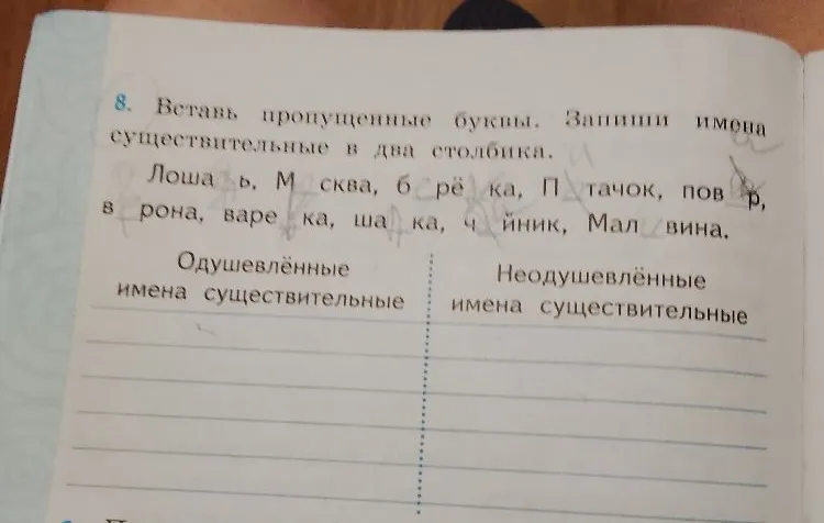 8. Вставь пропущенные буквы. Запиши имена существительные в два столбика.