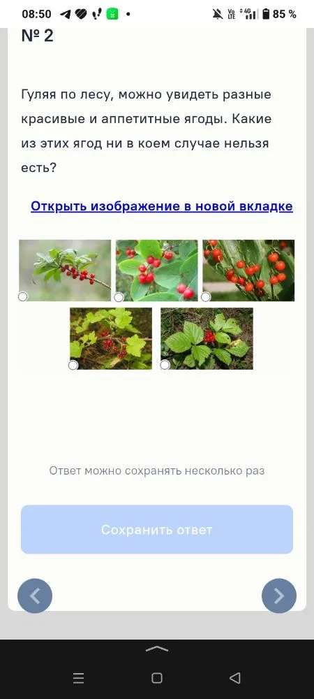 Гуляя по лесу, можно увидеть разные красивые и аппетитные ягоды. Какие из этих ягод ни в коем случае нельзя есть?
