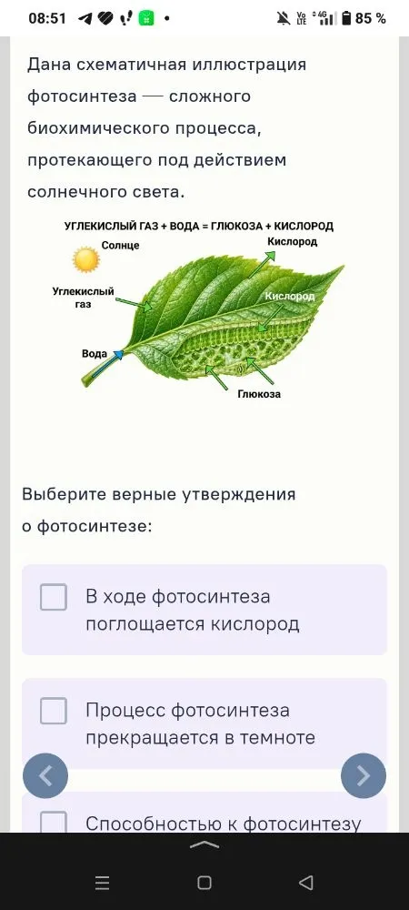 Выберите верные утверждения о фотосинтезе: