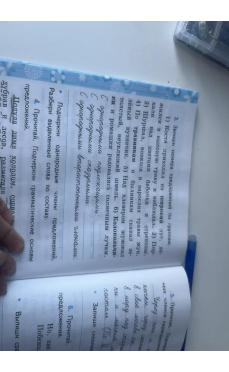 3. Запиши номера предложений по группам.