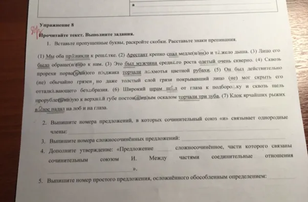 Прочитайте текст. Выполните задания. 1. Вставьте пропущенные буквы, раскройте скобки. Расставьте знаки препинания.