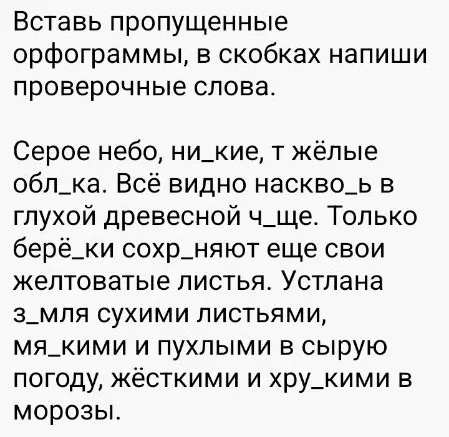 Вставь пропущенные орфограммы, в скобках напиши проверочные слова.